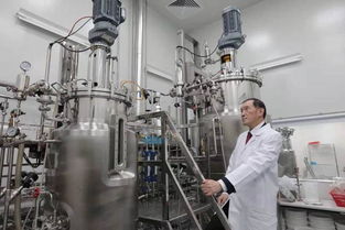 投資迷途 2500萬投資續命藥，兩年市值蒸發2億美元的警示